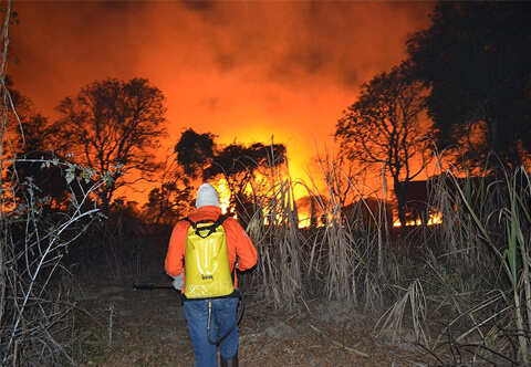 Brigada Voluntária Lobo Guará