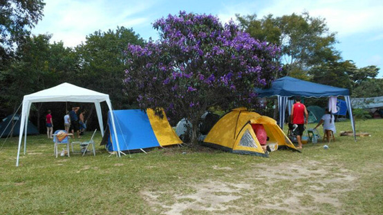 Campings